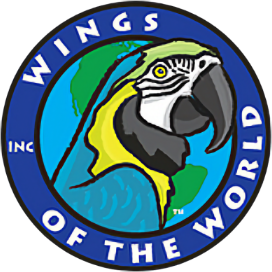 Wings of the World